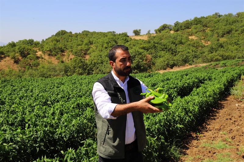 600 DEKAR ATIL TARIM ARAZİSİ, ÜRETİME KAZANDIRILDI