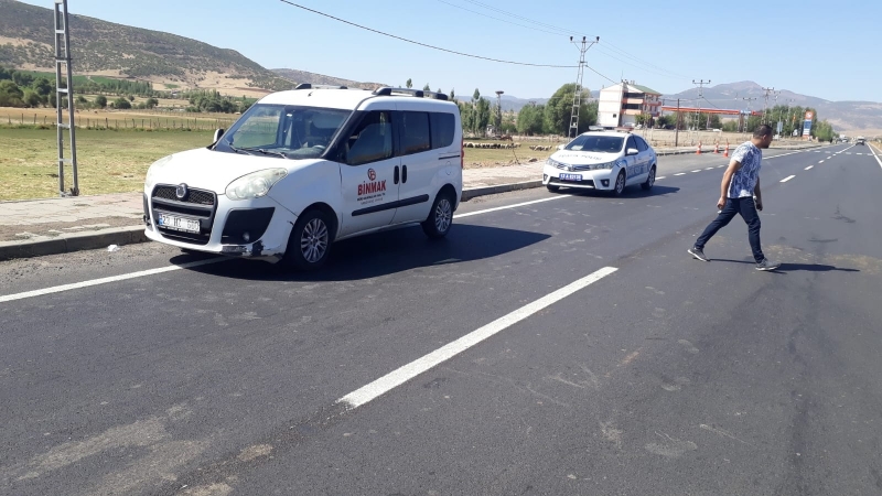 Başıboş Hayvanlar, Kazalara Sebep Oldu