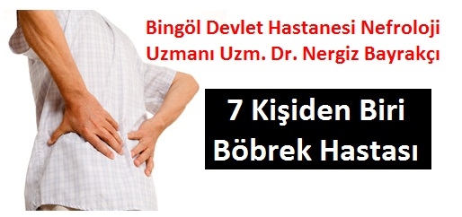 Bayrakçı: 7 Kişiden Biri Böbrek Hastası