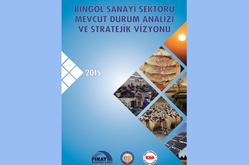 Bingöl sanayi sektörlerinin stratejik vizyonu belirlendi