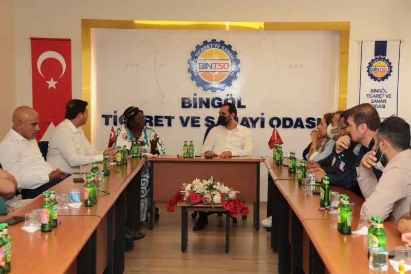 Bingöl’den Afrika’ya Mobilya İhracatı