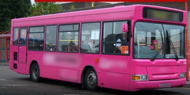 Bingöllü Bayanlar için Pembe Otobüs Talebi