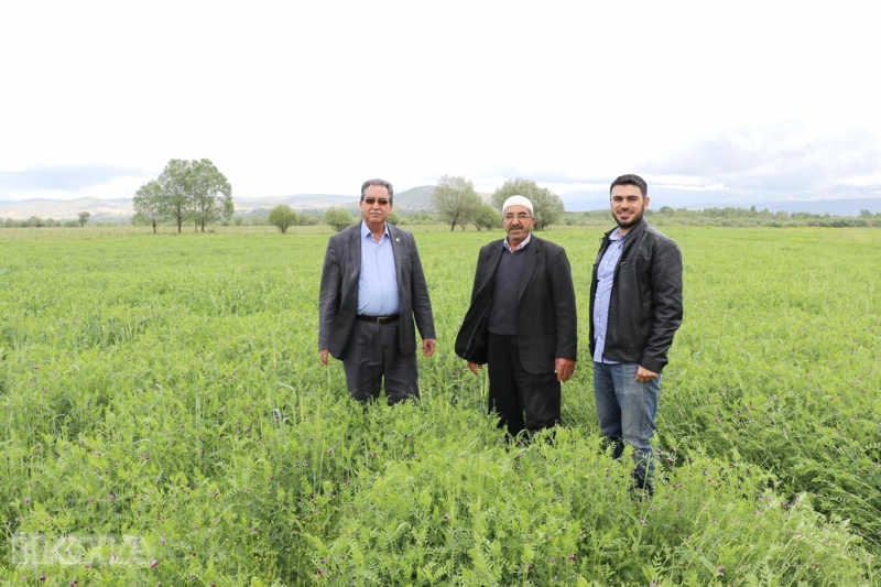 "Bol Yağışlar, Çiftçinin Yüzünü Güldürdü"