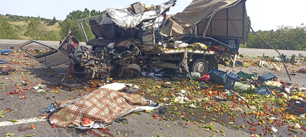 GENÇ’TE KAMYONET İLE TIR ÇARPIŞTI: 1 ÖLÜ