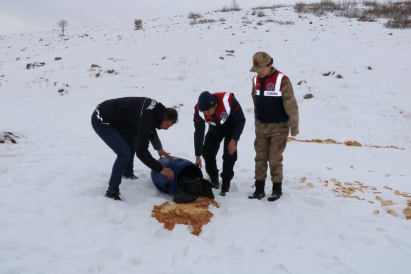 JANDARMA SOKAK HAYVANLARINA YİYECEK BIRAKTI