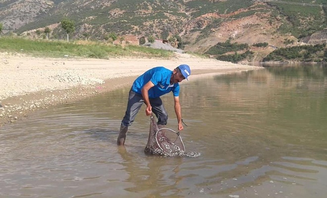 Kalehan Barajına 200 Bin Yavru Balık Bırakılacak 