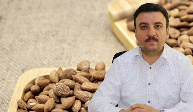 KAYISI ÇEKİRDEĞİNE BİNGÖL
