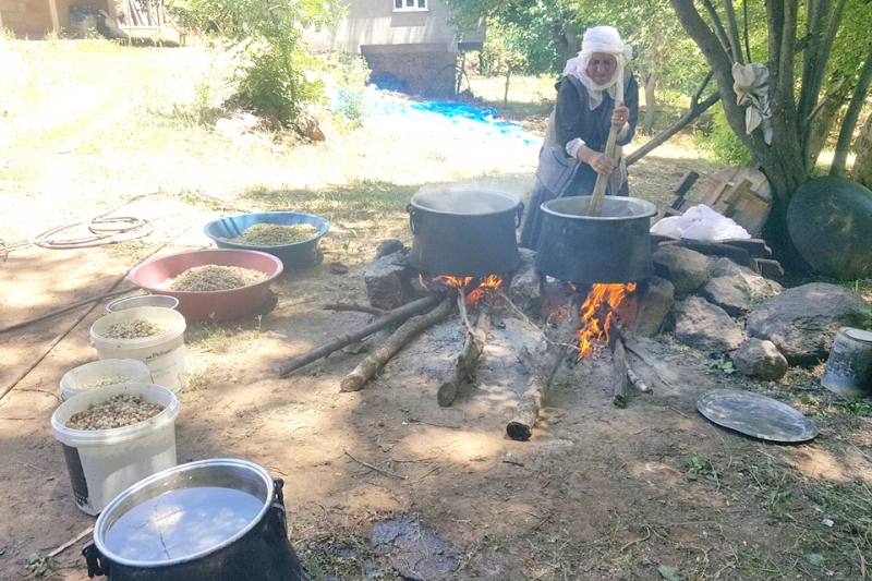 Köylerde Dut Pekmezi Zamanı