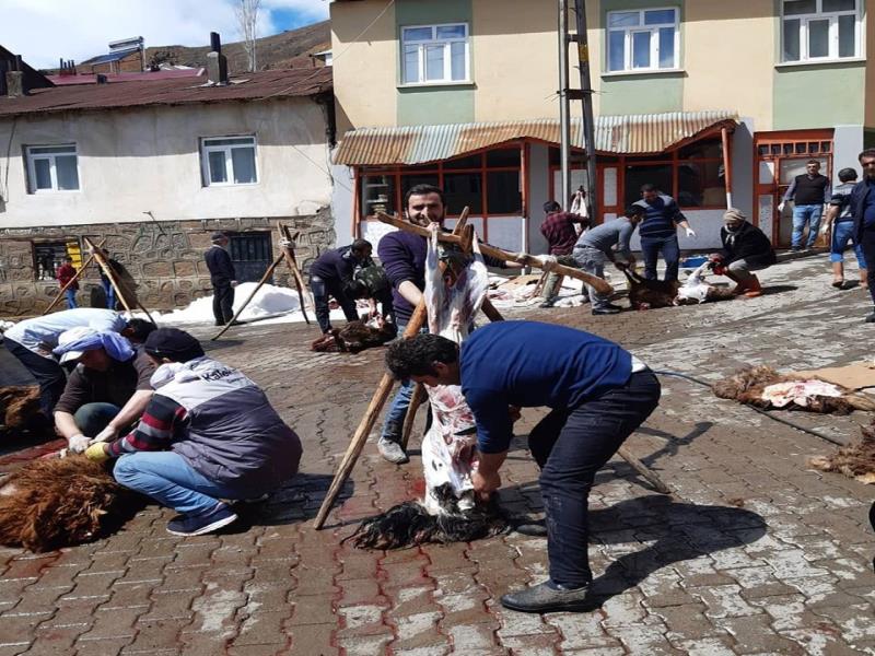 Köylüler, Coronavirüsün Yok Olması için Kurban Kesti