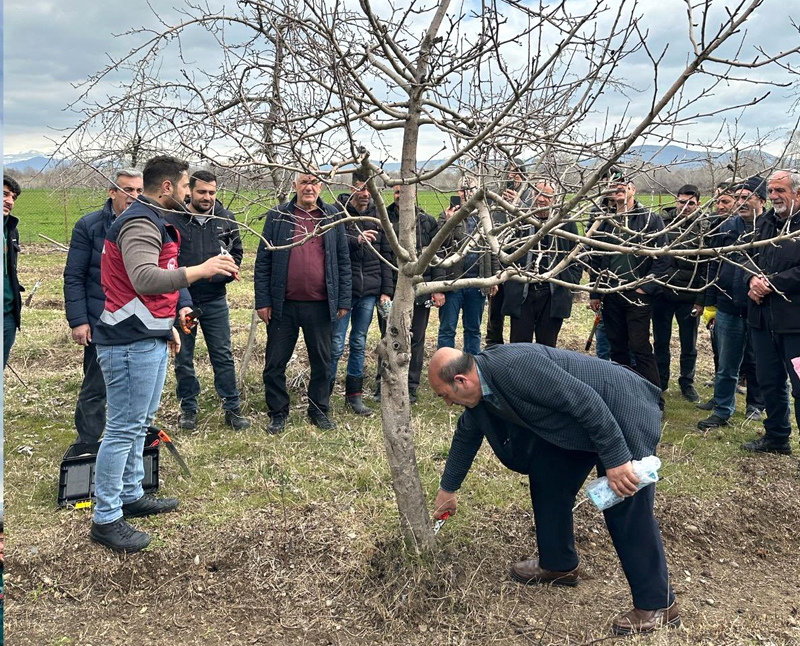 KURSİYERLERE BUDAMA VE AŞILAMA EĞİTİMİ