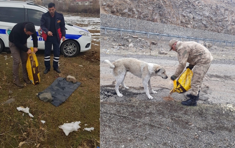 Sokak Hayvanları Unutulmadı