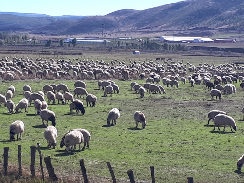 Solhan Ovası Koruma Altına Alındı