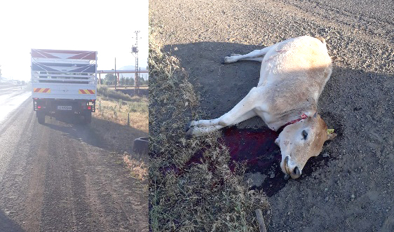 Solhan’da Maddi Hasarlı Trafik Kazası    