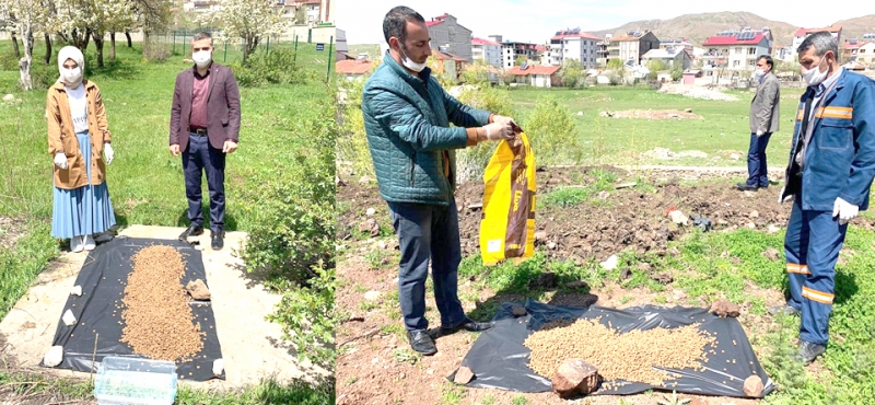 Solhan’da Sokak Hayvanları Unutulmadı