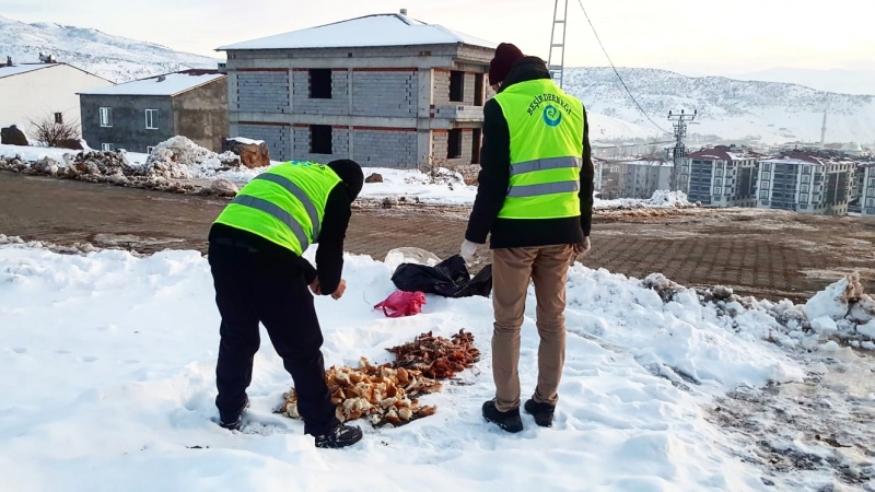 Solhan’da Sokak Hayvanları Unutulmadı