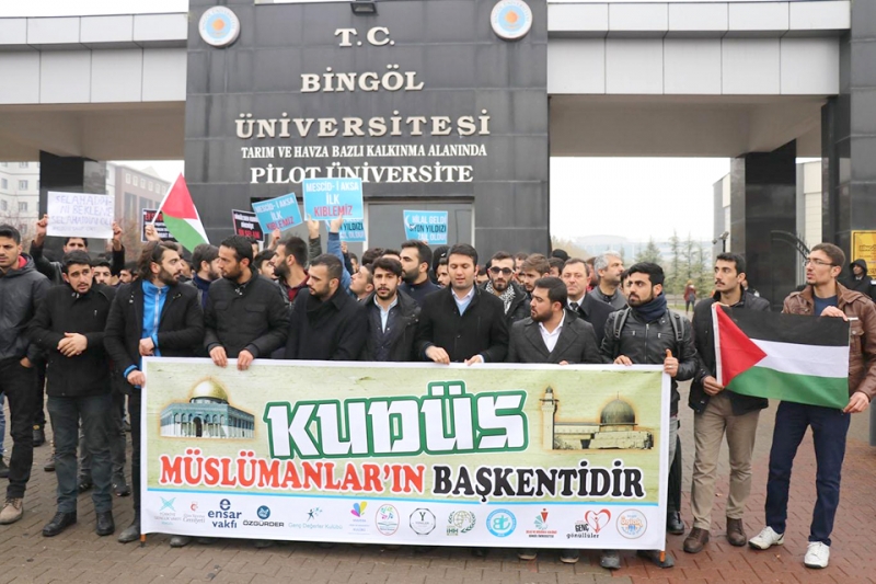 Üniversiteli Öğrenciler, ABD