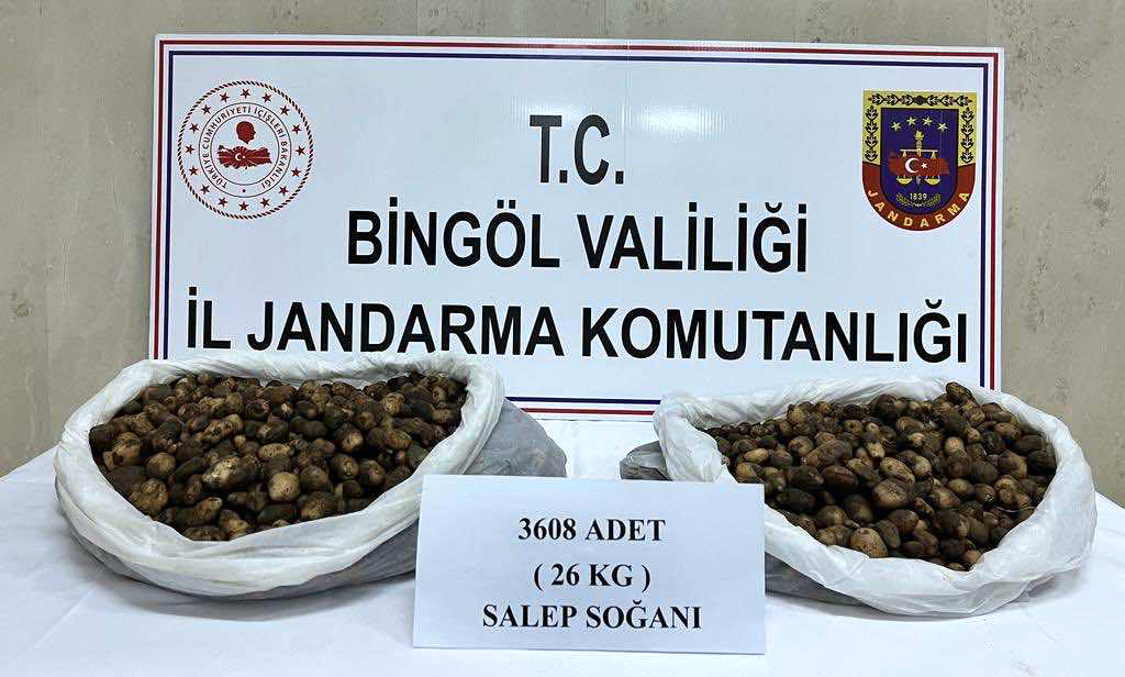 YABANİ SALEP SOĞANI TOPLAYANLARA CEZA